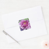 Pink Peony Blume Foto Square Stickers (Umschlag)