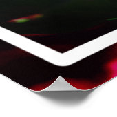 Pink Peony Blume im Garten-33333 Poster (Ecke)