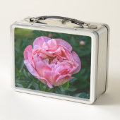 Pink Peony Blume, kanadische Fotografie Metall Brotdose (Rückseite)