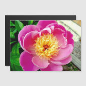 Pink Peony Blume Magnetkarte (Vorne/Hinten)
