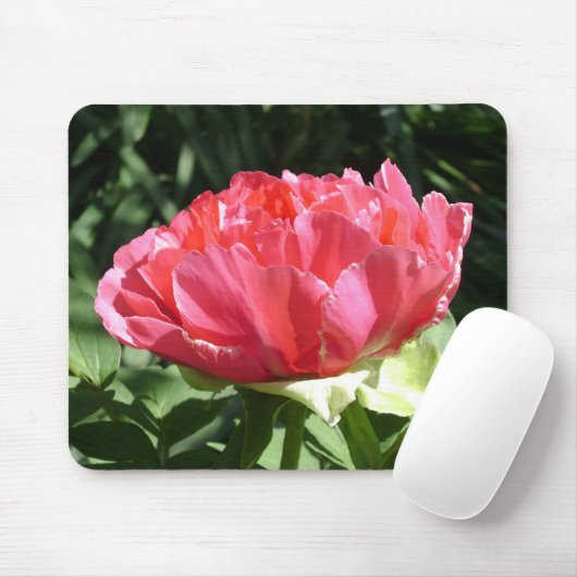 Pink Peony Blume Mousepad (Mit Mouse)