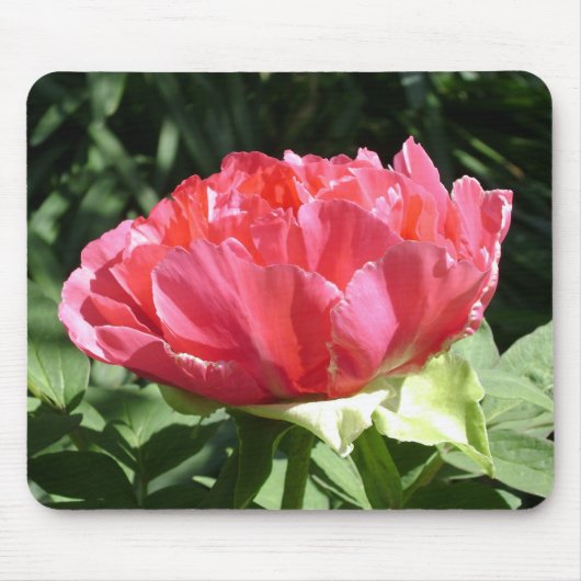 Pink Peony Blume Mousepad (Vorne)