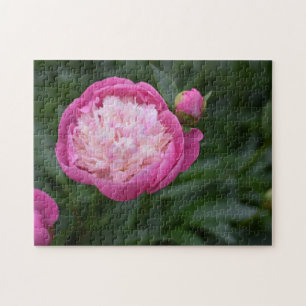 Pink Peony Blume Naturfotografie Garten Puzzle