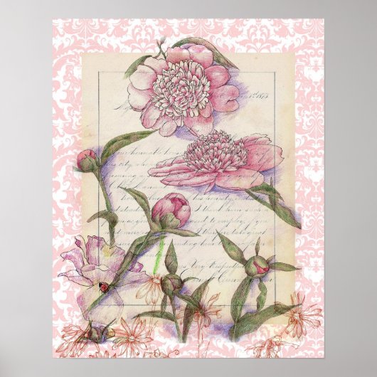 Pink Peony Blume Pen and Ink Art Collage Zeichnend Poster (Vorne)