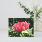 Pink Peony Blume Postkarte (Stehend Vorderseite)