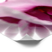 Pink Peony Blume Print Poster (Ecke)