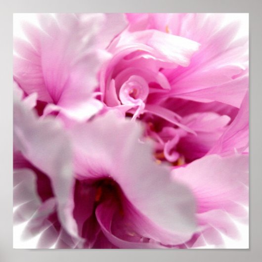 Pink Peony Blume Print Poster (Vorne)