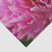 Pink Peony Blume Tissue Paper Seidenpapier (Ausschnitt)
