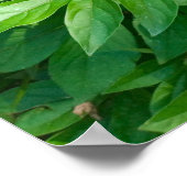 Pink Peony Blume von Black Iron Fence Foto Poster (Ecke)