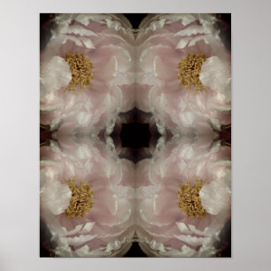 Pink Peony Blumen Centre Abstrakt Vintag Poster