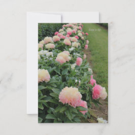 Pink Peony Border Mitteilungskarte