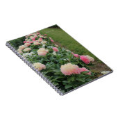 Pink Peony Border Notizblock (Rechte Seite)