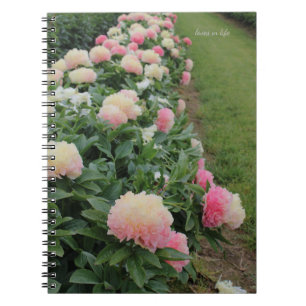 Pink Peony Border Notizblock