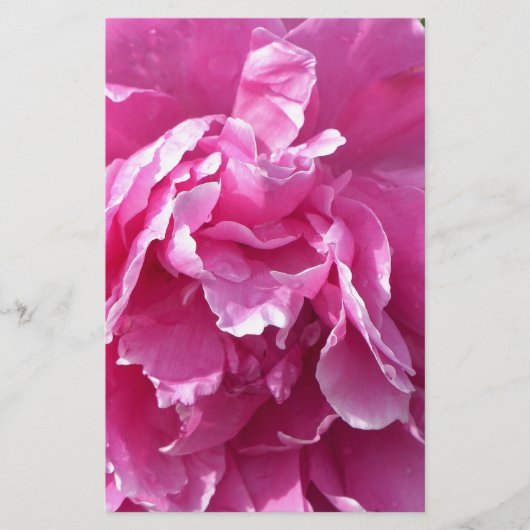 Pink Peony Briefpapier (Vorderseite)