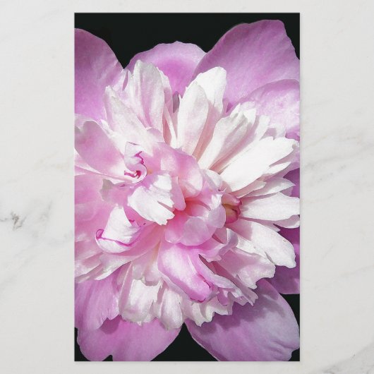 Pink Peony Briefpapier (Vorderseite)