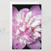 Pink Peony Briefpapier (Vorne/Hinten)