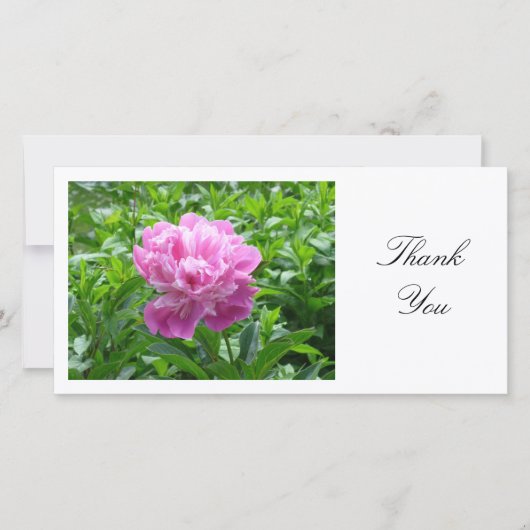 Pink Peony - Danke (Vorderseite)