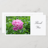 Pink Peony - Danke (Vorne/Hinten)