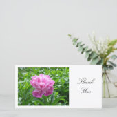 Pink Peony - Danke (Stehend Vorderseite)