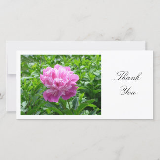 Pink Peony - Danke