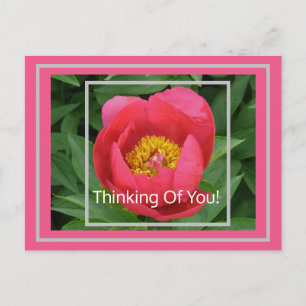 PINK PEONY/DENKEN POSTKARTE