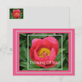 PINK PEONY/DENKEN POSTKARTE (Vorne/Hinten)