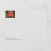 PINK PEONY/DENKEN POSTKARTE (Rückseite)