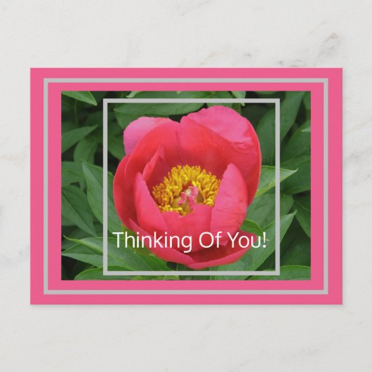 PINK PEONY/DENKEN POSTKARTE (Vorderseite)