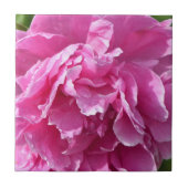 Pink Peony Fliese (Vorderseite)