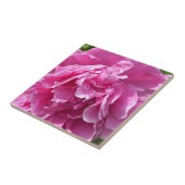 Pink Peony Fliese (Seite)