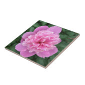 Pink Peony Fliese (Seite)