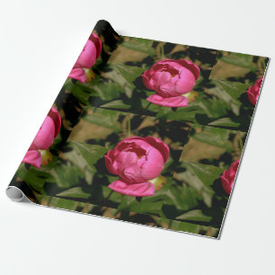 Pink Peony Floral Wrapping Paper Geschenkpapier