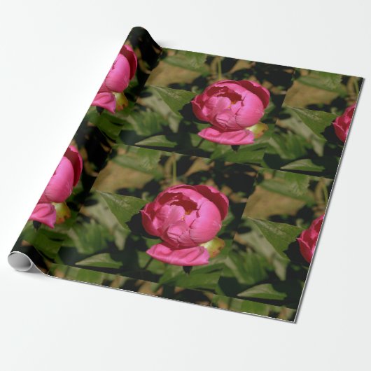 Pink Peony Floral Wrapping Paper Geschenkpapier (Ungerollt)