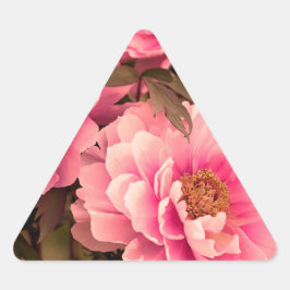 Pink Peony Flower Dreieckiger Aufkleber