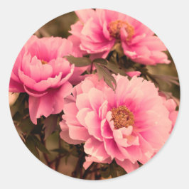 Pink Peony Flower Runder Aufkleber