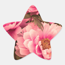 Pink Peony Flower Stern-Aufkleber