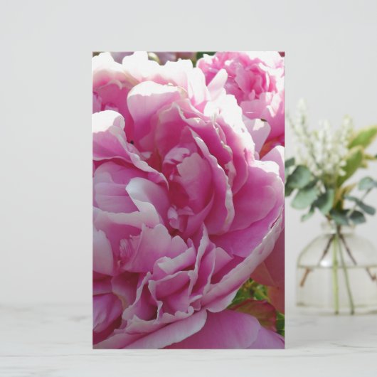 Pink Peony Foto Hütte Bauernhof Blumengarten Briefpapier (Stehend Vorderseite)