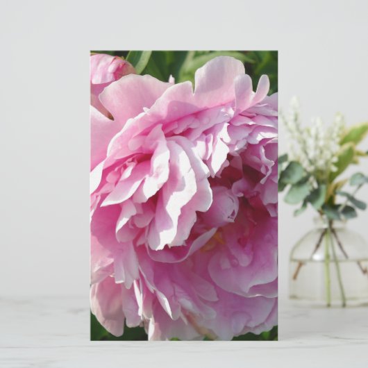 Pink Peony Foto Hütte Bauernhof Blumengarten Briefpapier (Stehend Vorderseite)