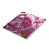 Pink Peony Foto Hütte Bauernhof Blumengarten Fliese (Seite)