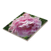 Pink Peony Foto Hütte Bauernhof Blumengarten Fliese (Seite)