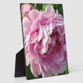 Pink Peony Foto Hütte Bauernhof Blumengarten Fotoplatte (Seite)