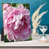 Pink Peony Foto Hütte Bauernhof Blumengarten Fotoplatte (Seite)