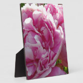 Pink Peony Foto Hütte Bauernhof Blumengarten Fotoplatte (Seite)