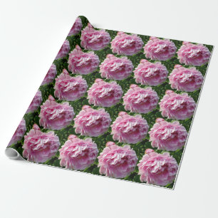 Pink Peony Foto Hütte Bauernhof Blumengarten Geschenkpapier