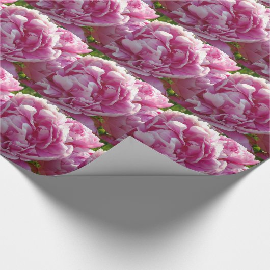Pink Peony Foto Hütte Bauernhof Blumengarten Geschenkpapier (Ecke)