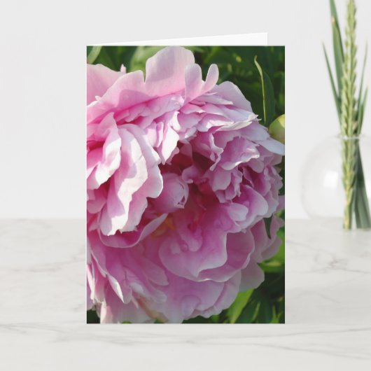 Pink Peony Foto Hütte Bauernhof Blumengarten Karte (Vorderseite)