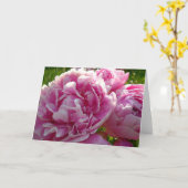 Pink Peony Foto Hütte Bauernhof Blumengarten Karte (Gelbe Blume)