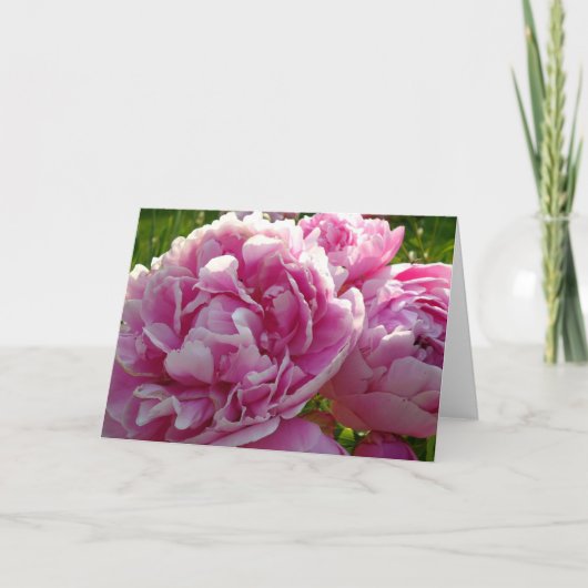 Pink Peony Foto Hütte Bauernhof Blumengarten Karte (Vorderseite)