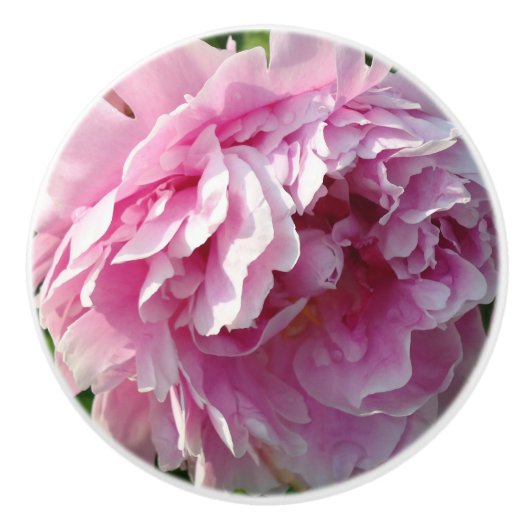 Pink Peony Foto Hütte Bauernhof Blumengarten Keramikknauf (Vorderseite)