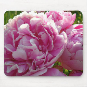 Pink Peony Foto Hütte Bauernhof Blumengarten Mousepad
